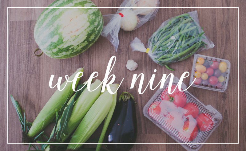 CSA // Week 9